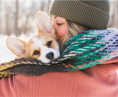 cold weather for dogs, pet parenting, dogs and cold weather, dogs in the winter, dogs in freezing we