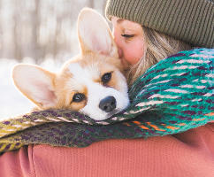 Tips you need to know preparing your pets before winter kicks in