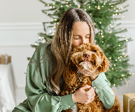 Holiday pet activities, Pawliday celebration ideas, Pet-friendly holiday traditions, Holiday treats 