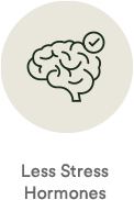 Less Stress Hormones