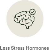 Less Stress Hormones