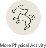 More Physical Activity